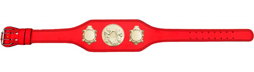BOXING CHAMPIONSHIP BELT-BUD003/G/BOXG-4 COLOURS BOXING CHAMPIONSHIP BELT-BUD003/G/BOXG-4 COLOURS